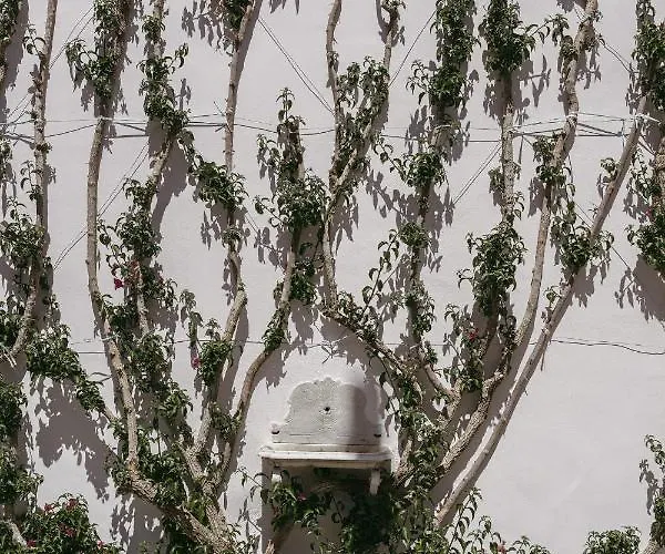 Lo Pozzo, Villa Anacapri (Isola di Capri)